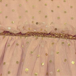 4T Carter’s Party Dress